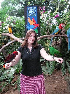 Papageien im Jurong Vogelpark